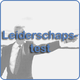 360 graden Feedback, Leary, Belbin Kolb Specialisten in Samenwerken Teambuilding Heidagen Teamtrainingen Quinn Testsysteem Groepsdynamica Valide Betrouwbaar Assessment  Handy